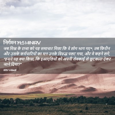 Picture 02 - निर्गमन 14:5 HINIRV - जब मिस्र के राजा को - Bible Verse Picture