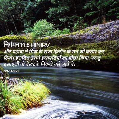Picture 02 - निर्गमन 14:8 HINIRV - और यहोवा ने मिस्र - Bible Verse Picture