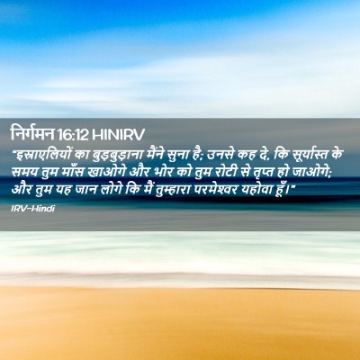 Picture 02 - निर्गमन 16:12 HINIRV - “इस्राएलियों का - Bible Verse Picture