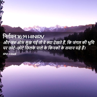 Picture 02 - निर्गमन 16:14 HINIRV - और जब ओस सूख गई तो - Bible Verse Picture