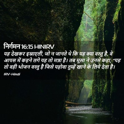 Picture 02 - निर्गमन 16:15 HINIRV - यह देखकर इस्राएली, - Bible Verse Picture