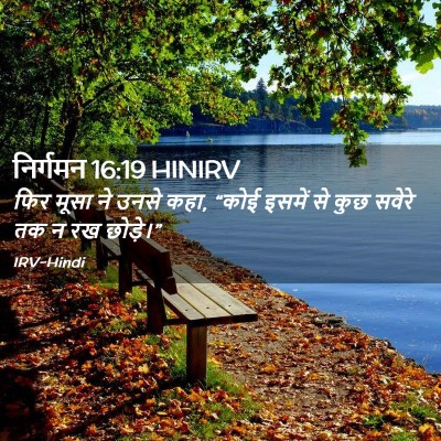 Picture 02 - निर्गमन 16:19 HINIRV - फिर मूसा ने उनसे - Bible Verse Picture
