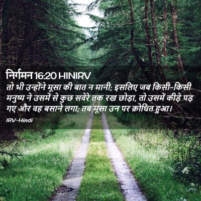 Picture 02 - निर्गमन 16:20 HINIRV - तो भी उन्होंने - Bible Verse Picture