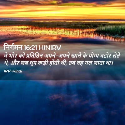 Picture 02 - निर्गमन 16:21 HINIRV - वे भोर को प्रतिदिन - Bible Verse Picture