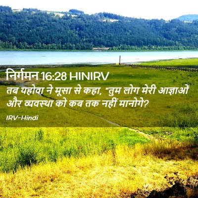 Picture 02 - निर्गमन 16:28 HINIRV - तब यहोवा ने मूसा से - Bible Verse Picture