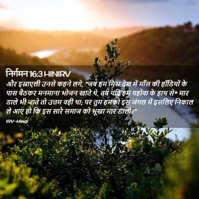 Picture 02 - निर्गमन 16:3 HINIRV - और इस्राएली उनसे - Bible Verse Picture