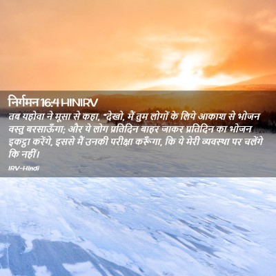 Picture 02 - निर्गमन 16:4 HINIRV - तब यहोवा ने मूसा से - Bible Verse Picture