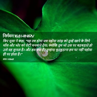 Picture 02 - निर्गमन 16:8 HINIRV - फिर मूसा ने कहा, - Bible Verse Picture