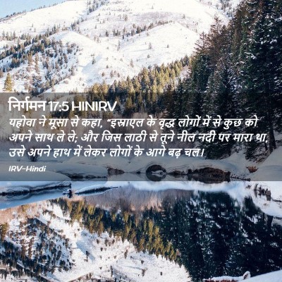Picture 02 - निर्गमन 17:5 HINIRV - यहोवा ने मूसा से - Bible Verse Picture