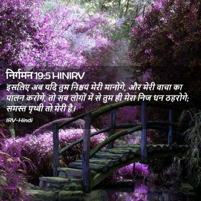 Picture 02 - निर्गमन 19:5 HINIRV - इसलिए अब यदि तुम - Bible Verse Picture