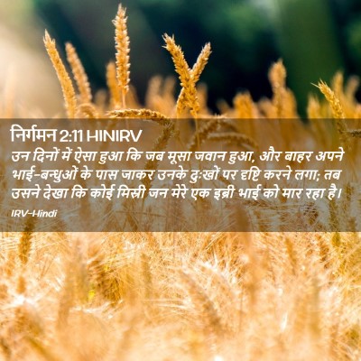 Picture 02 - निर्गमन 2:11 HINIRV - उन दिनों में ऐसा - Bible Verse Picture