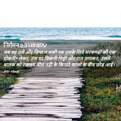 Picture 02 - निर्गमन 2:3 HINIRV - जब वह उसे और छिपा न - Bible Verse Picture