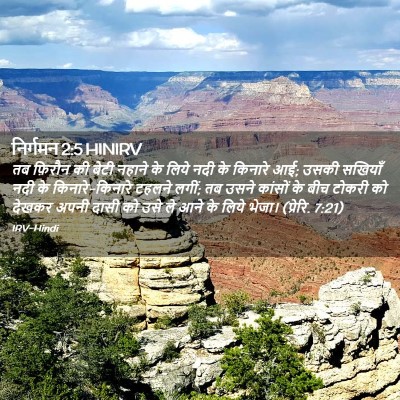 Picture 02 - निर्गमन 2:5 HINIRV - तब फ़िरौन की बेटी - Bible Verse Picture