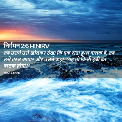 Picture 02 - निर्गमन 2:6 HINIRV - तब उसने उसे खोलकर - Bible Verse Picture