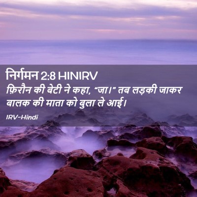Picture 02 - निर्गमन 2:8 HINIRV - फ़िरौन की बेटी ने - Bible Verse Picture