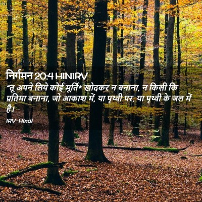 Picture 02 - निर्गमन 20:4 HINIRV - “तू अपने लिये कोई - Bible Verse Picture