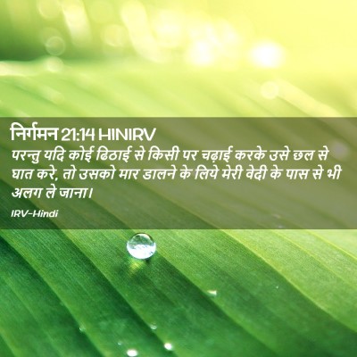 Picture 02 - निर्गमन 21:14 HINIRV - परन्तु यदि कोई - Bible Verse Picture