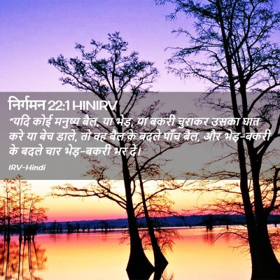Picture 02 - निर्गमन 22:1 HINIRV - “यदि कोई मनुष्य - Bible Verse Picture