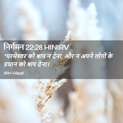 Picture 02 - निर्गमन 22:28 HINIRV - “परमेश्‍वर को - Bible Verse Picture