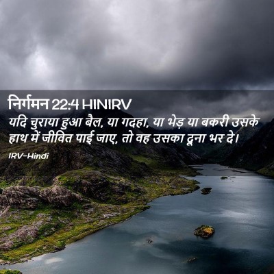 Picture 02 - निर्गमन 22:4 HINIRV - यदि चुराया हुआ बैल, - Bible Verse Picture