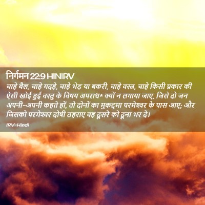 Picture 02 - निर्गमन 22:9 HINIRV - चाहे बैल, चाहे - Bible Verse Picture