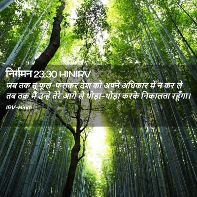 Picture 02 - निर्गमन 23:30 HINIRV - जब तक तू फूल-फलकर - Bible Verse Picture