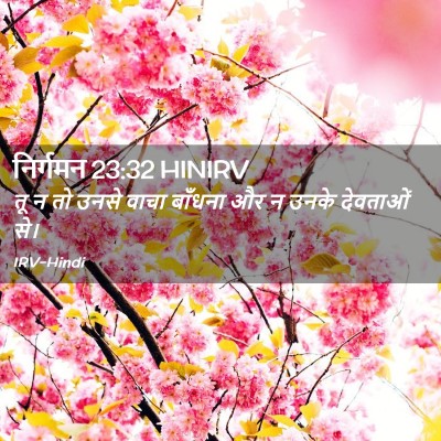 Picture 02 - निर्गमन 23:32 HINIRV - तू न तो उनसे वाचा - Bible Verse Picture