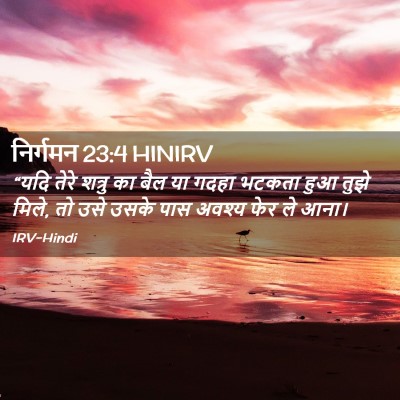 Picture 02 - निर्गमन 23:4 HINIRV - “यदि तेरे शत्रु का - Bible Verse Picture