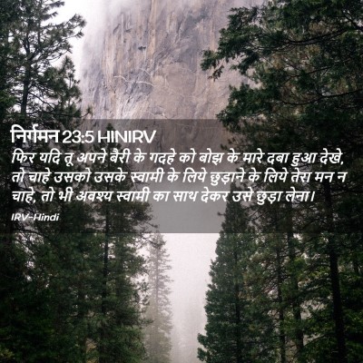 Picture 02 - निर्गमन 23:5 HINIRV - फिर यदि तू अपने - Bible Verse Picture