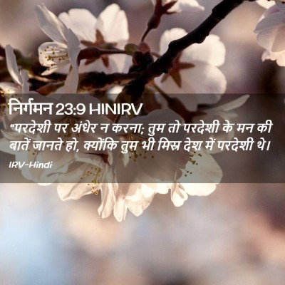 Picture 02 - निर्गमन 23:9 HINIRV - “परदेशी पर अंधेर न - Bible Verse Picture