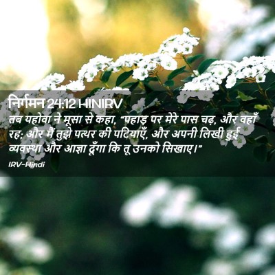 Picture 02 - निर्गमन 24:12 HINIRV - तब यहोवा ने मूसा से - Bible Verse Picture