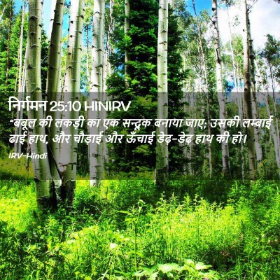 Picture 02 - निर्गमन 25:10 HINIRV - “बबूल की लकड़ी का - Bible Verse Picture