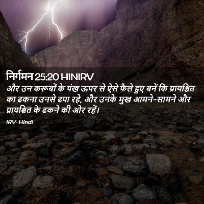Picture 02 - निर्गमन 25:20 HINIRV - और उन करूबों के पंख - Bible Verse Picture