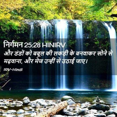 Picture 02 - निर्गमन 25:28 HINIRV - और डंडों को बबूल की - Bible Verse Picture
