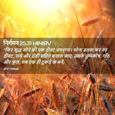Picture 02 - निर्गमन 25:31 HINIRV - “फिर शुद्ध सोने की - Bible Verse Picture