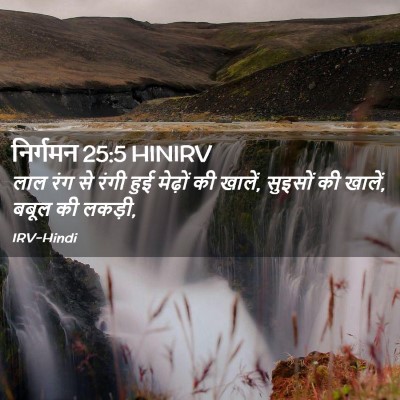 Picture 02 - निर्गमन 25:5 HINIRV - लाल रंग से रंगी हुई - Bible Verse Picture