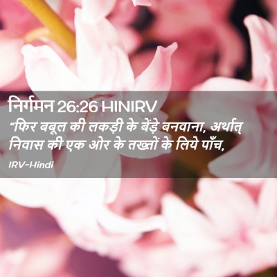Picture 02 - निर्गमन 26:26 HINIRV - “फिर बबूल की लकड़ी - Bible Verse Picture