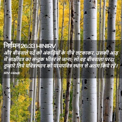 Picture 02 - निर्गमन 26:33 HINIRV - और बीचवाले पर्दे - Bible Verse Picture