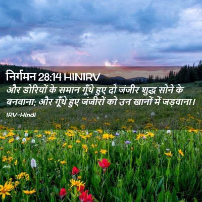 Picture 02 - निर्गमन 28:14 HINIRV - और डोरियों के समान - Bible Verse Picture
