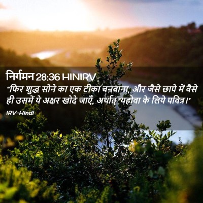 Picture 02 - निर्गमन 28:36 HINIRV - “फिर शुद्ध सोने का - Bible Verse Picture