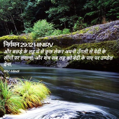 Picture 02 - निर्गमन 29:12 HINIRV - और बछड़े के लहू में - Bible Verse Picture