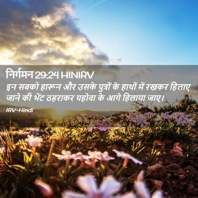 Picture 02 - निर्गमन 29:24 HINIRV - इन सबको हारून और - Bible Verse Picture