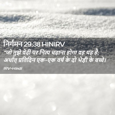 Picture 02 - निर्गमन 29:38 HINIRV - “जो तुझे वेदी पर - Bible Verse Picture