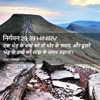 Picture 02 - निर्गमन 29:39 HINIRV - एक भेड़ के बच्चे को - Bible Verse Picture