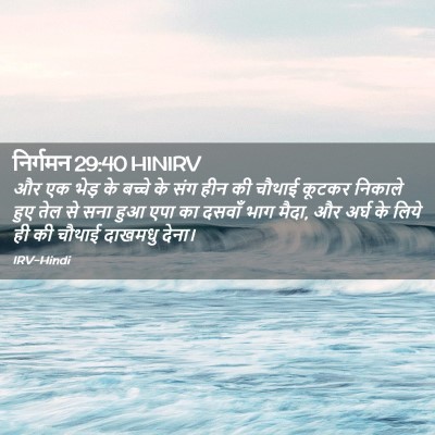 Picture 02 - निर्गमन 29:40 HINIRV - और एक भेड़ के बच्चे - Bible Verse Picture
