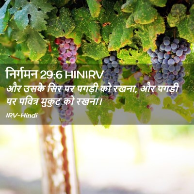 Picture 02 - निर्गमन 29:6 HINIRV - और उसके सिर पर - Bible Verse Picture