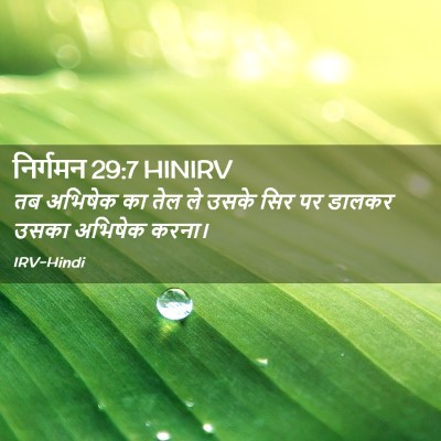 Picture 02 - निर्गमन 29:7 HINIRV - तब अभिषेक का तेल ले - Bible Verse Picture