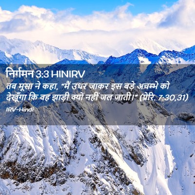 Picture 02 - निर्गमन 3:3 HINIRV - तब मूसा ने कहा, - Bible Verse Picture