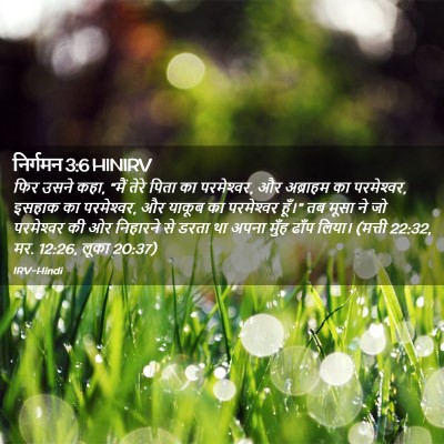 Picture 02 - निर्गमन 3:6 HINIRV - फिर उसने कहा, “मैं - Bible Verse Picture
