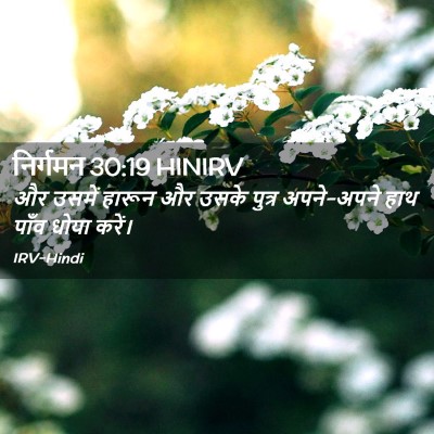 Picture 02 - निर्गमन 30:19 HINIRV - और उसमें हारून और - Bible Verse Picture